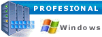 Web Hosting en servidores Microsoft Windows - Cuenta Profesional
